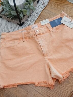 Universal Thread Peach Frayed-Hem Denim Shorts